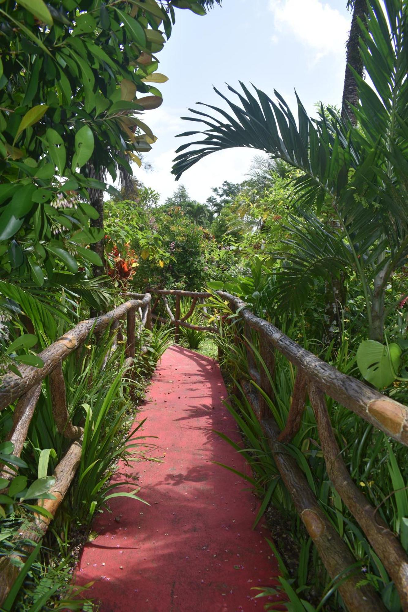 Hotel Roca Negra Del Arenal La Fortuna Buitenkant foto
