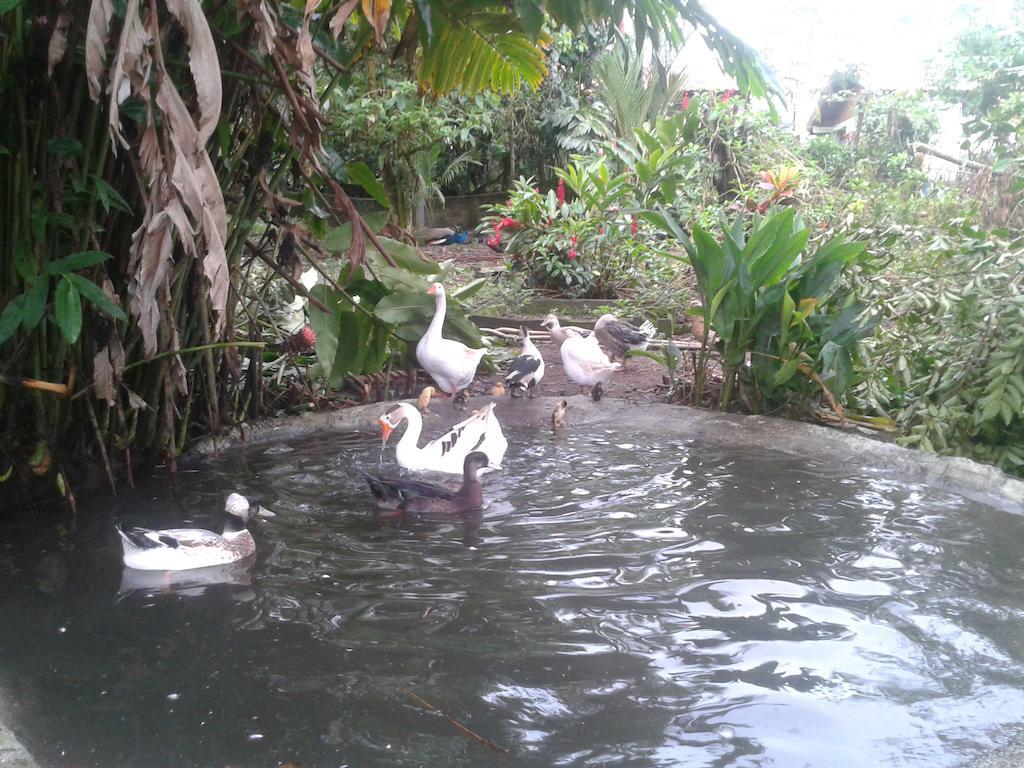 Hotel Roca Negra Del Arenal La Fortuna Buitenkant foto