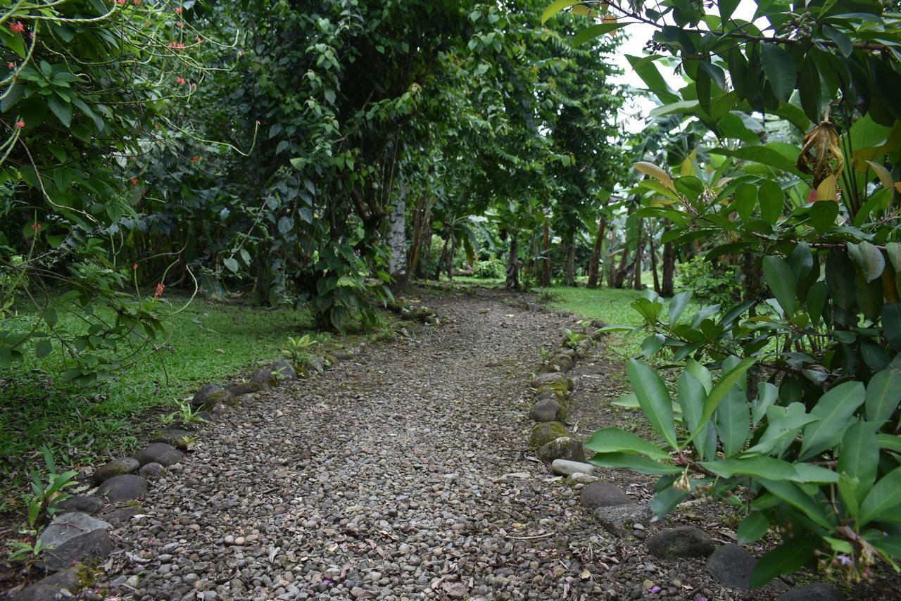 Hotel Roca Negra Del Arenal La Fortuna Buitenkant foto